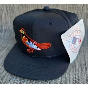 NWT DEADSTOCK 80s 90s BALTIMORE ORIOLES Outdoor Cap OC MLB Snapback Hat VTG NOS